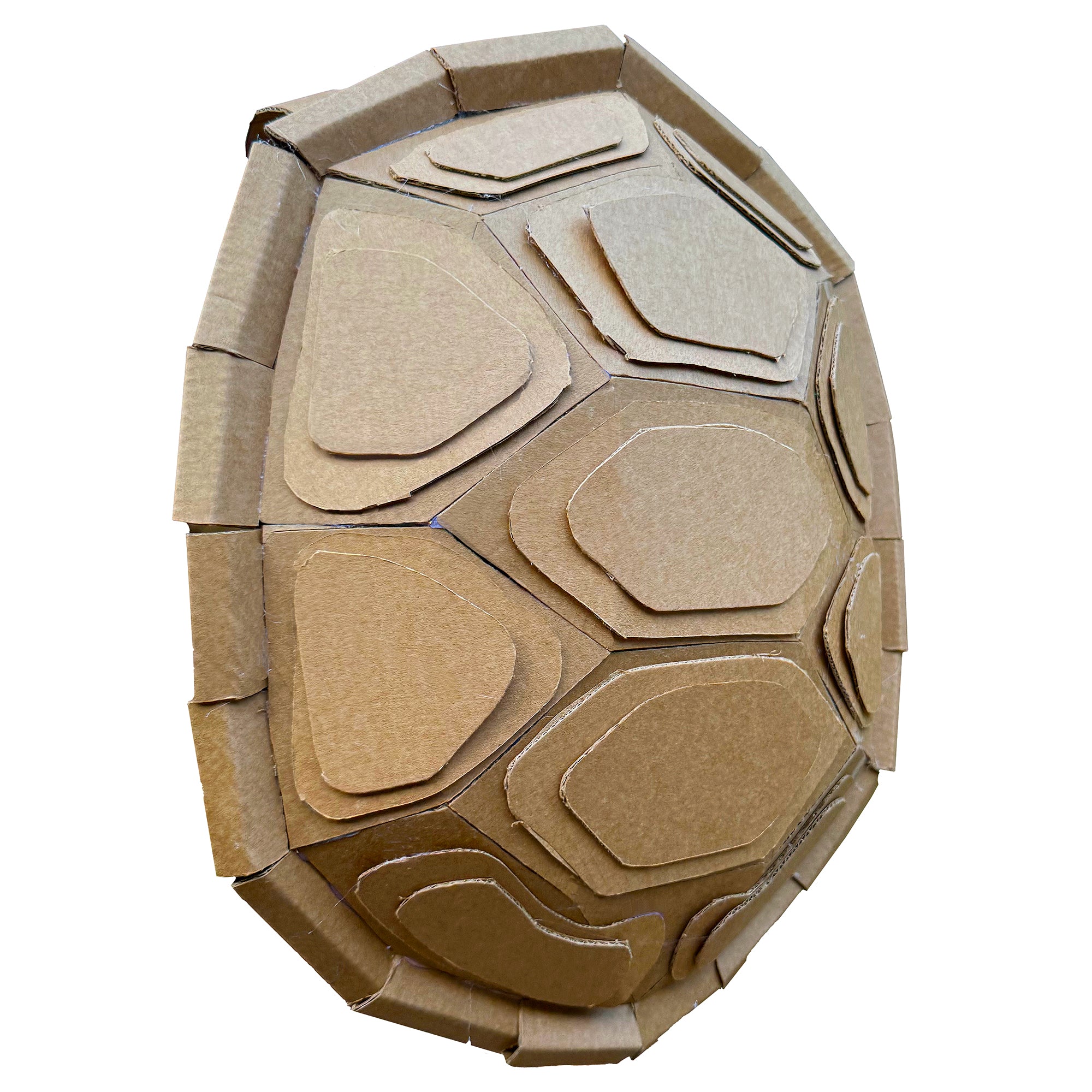 Cardboard turtle shell costume with hexagonal patterns on a white background