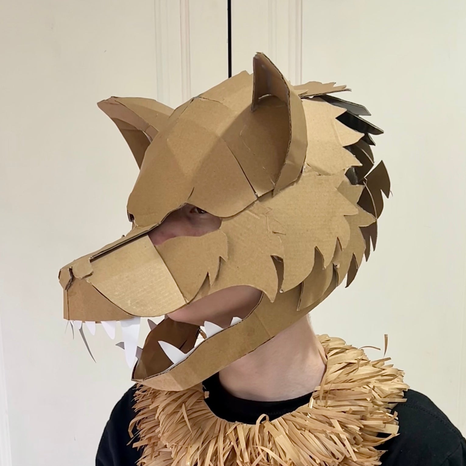 Person wearing a cardboard werewolf  head costume against a plain background